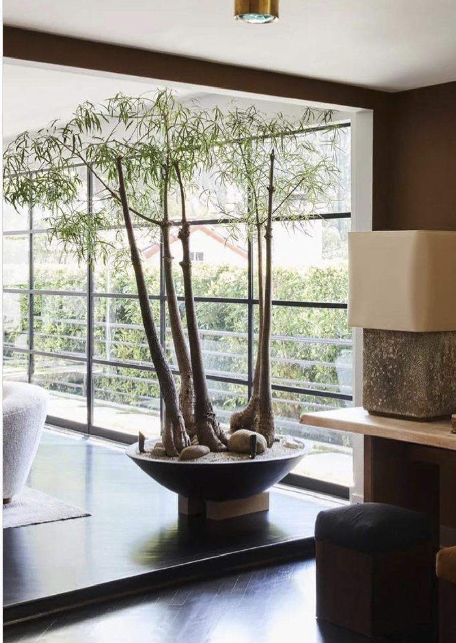 ALÜM concept — terrace