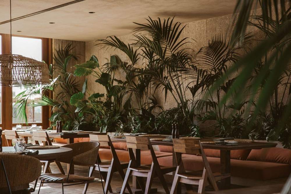 ALÜM concept — terrace